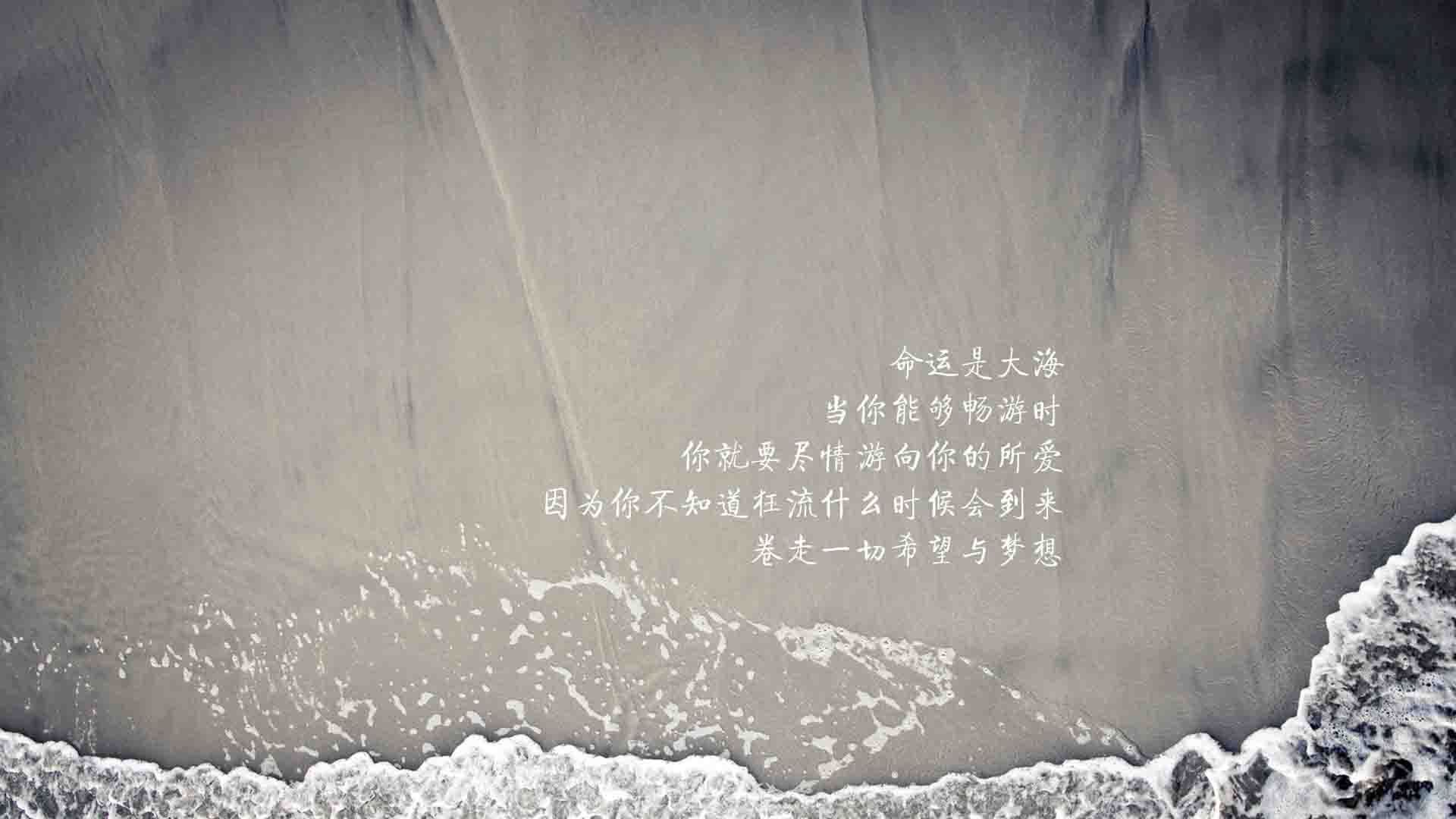 开云APP-“影响力排行榜：联盟最具人气球星”，全联盟最高的球员
