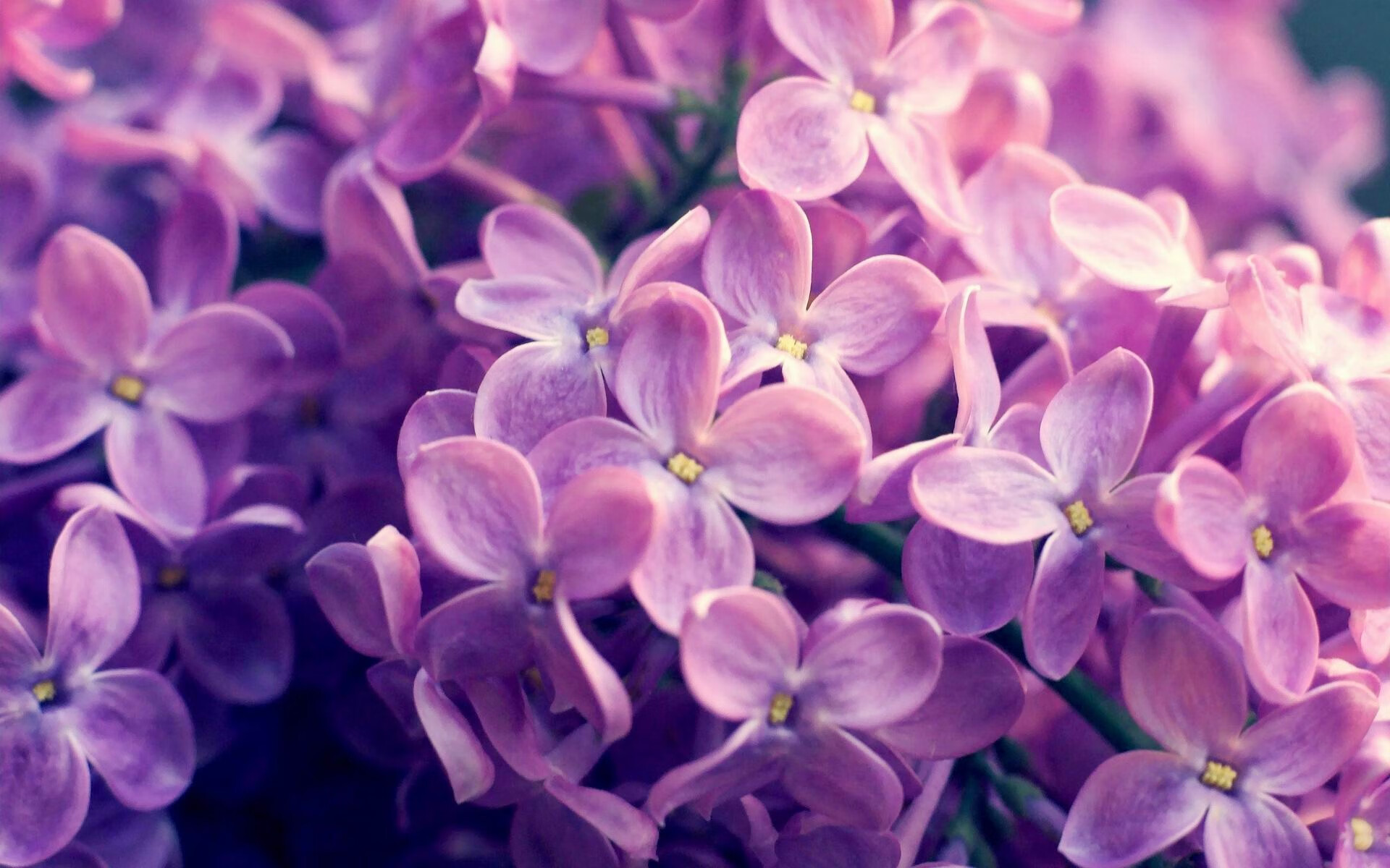 中国篮球运动国际交流合作不断深化，将中国篮球协会与篮球处合一改为