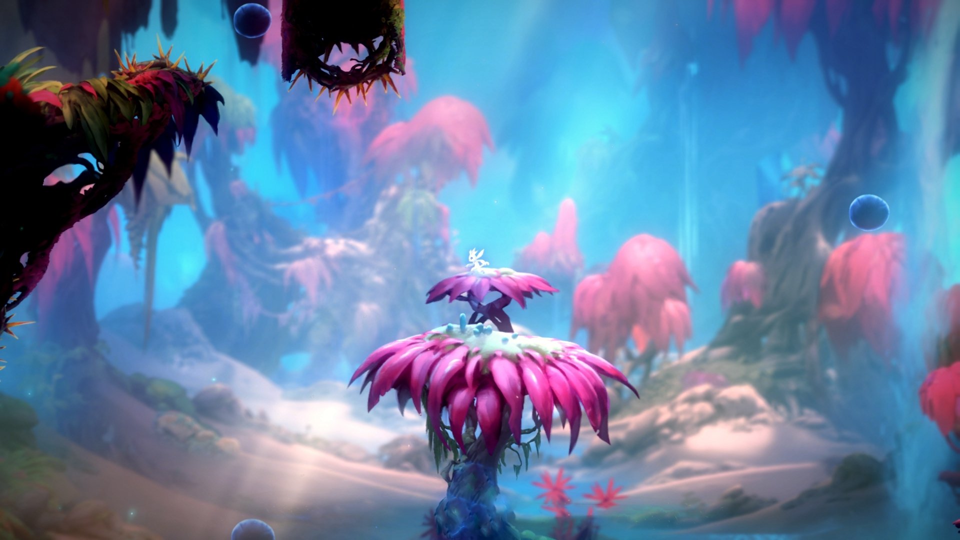 开云在线直播-勇士球员开发冥想APP，鼓励球员及球迷心理健康，适合勇士体系的球员